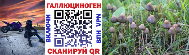 OMG ссылка  Карабаш  Псилоцибиновые грибы мицелий  даркнет сайт 